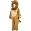 Image de Déguisement de lion (2 ans)