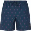 Image de Short de bain Protest Prtalvis Bleu XS 2711543-906