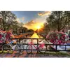 Image de Puzzle 1000 pièces : Coucher de soleil à Amsterdam Broccoli-76302
