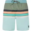 Image de Short de bain Protest Avik Vert S 71751008-693