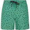 Image de Short de bain Protest Juan Vert XS 71751025-853