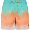 Image de Short de bain Protest Bowery Orange XS 71751035-607