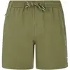 Image de Short de bain Protest Wytona Vert S 71751045-476