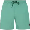 Image de Short de bain Protest Speed Vert M 2798700-657