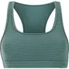 Image de Haut de maillot de bain femme Protest Mixeagert Vert 40 72661000-477