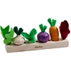 Image de Jeu à encastrer Potager, graines et bulbes à planter