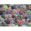 Image de Puzzle 1000 Pièces : Oursins Piatnik-5488