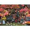 Image de Puzzle 1000 pièces : Automne Piatnik-5582