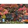 Image de Puzzle 1000 piÃ¨ces : Automne