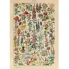 Image de Puzzle 1000 pièces : Fleurs - Millot Piatnik-5705