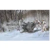 Image de Maquette Canon anti-aérien allemand : FlaK 37 3.7 cm Trumpeter-TR02310