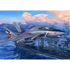 Image de F-14D Super Tomcat 3203