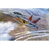 Image de EA-18G Growler 3206