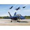 Image de USN BLUE ANGLE 2017 F/A-18A/B/C/D K48073