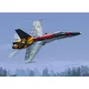 Image de CF-188A RCAF : 20 ans de service K48079