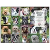 Image de Puzzle 1000 pièces : Chiens sauveteurs 9780735369535