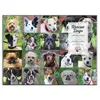 Image de Puzzle 1000 pièces : Chiens sauveteurs