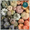 Image de Puzzle de 1000 pièces : Citrouilles anciennes Galison-36955