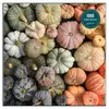 Image de Puzzle de 1000 piÃ¨ces : Citrouilles anciennes
