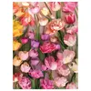 Image de Puzzle 1000 pièces : Tulipes Ephémères Galison-85184