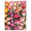 Image de Puzzle 1000 piÃ¨ces : Tulipes EphÃ©mÃ¨res