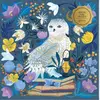 Image de Puzzle 500 pièces : Hibou Céleste