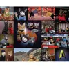 Image de Puzzle 1000 pièces : Chats, Star Trek Galison-21222