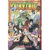 Image de Manga Fairy Tail Tome 24
