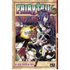 Image de Manga Fairy Tail Tome 48