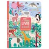 Image de Mon très grand livre d'éveil Autour du monde