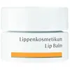 Image de Dr. Hauschka, Soin pour les lèvres, cosmétique pour les lèvres (Baume à lèvres, 4.50 ml)