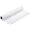 Image de Epson Rouleau De Papier C13s041746 17'' 40 M