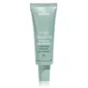 Image de Aveda Scalp Solutions Exfoliating Scalp Treatment Soin capillaire 1000 ml