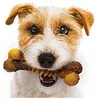 Image de Nylabone Extreme Texture Bone M, 15 cm,100 g (Jouet à mâcher pour chiens), Jouets pour chien