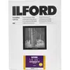 Image de Ilford 1x100 MG RC DL 25M 18x24 (190 g/m², 18 x 24 cm, 100 pcs), Papier photo, Noir