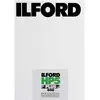 Image de Ilford HP 5 Plus 8x10 pouce/25, Film analogique, Noir