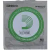 Image de D'Addario Nw020 (1x, Guitare électrique, 0.02"), Corde de guitare