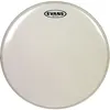 Image de Evans G1 12'' Transparente - peau de tom