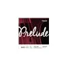 Image de D'Addario And Co Jeu Prelude Manche 1/4 Medium Cordes contrebasse
