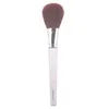 Image de Pinceau Powder Clinique