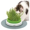 Image de Jardin Herbe Pour Chat Catit Senses 2.0