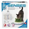 Image de CAT IT Jardin dherbe a chat