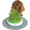 Image de Hagen Kit d'herbe de jardin Catit Senses, Gamelle