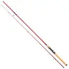 Image de Berkley Canne Spinning Cherrywood