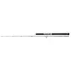 Image de Penn Canne Jigging Batallion Solid