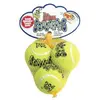 Image de Kong airdog squeakair ball - s