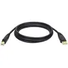 Image de Eaton Câble USB 2.0 A/B M/M 6ft. 1,83m (1.83 m, USB 2.0), Câble USB