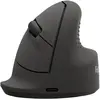 Image de Fellowes Breyta Basic Ergonomische Maus (Filaire, Sans fil), Souris, Noir