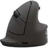 Image de Fellowes Breyta Plus+ Ergonomische Maus (Filaire, Sans fil), Souris, Noir