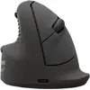 Image de Fellowes Breyta Plus+ Ergonomic Mouse Large Left (Filaire, Sans fil), Souris, Noir
